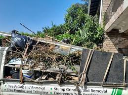 Shed Removal in Frankfort, MI